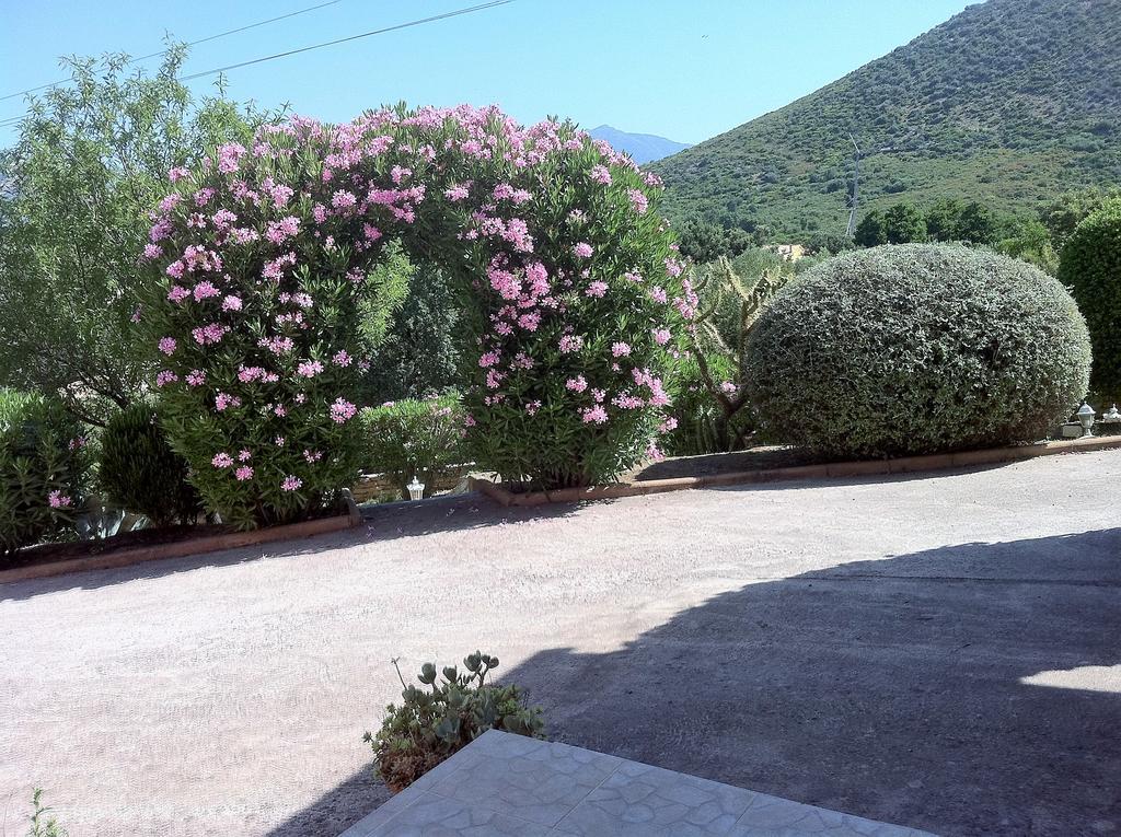 Villa Elofred Saint-Florent  Exteriér fotografie