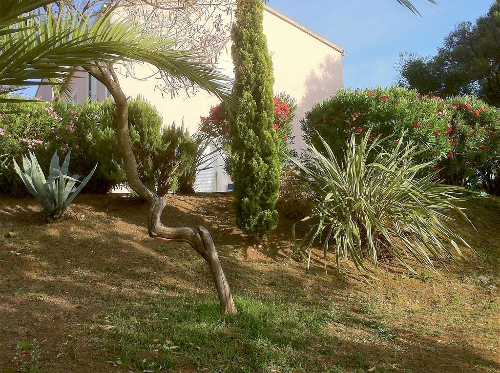 Villa Elofred Saint-Florent  Exteriér fotografie