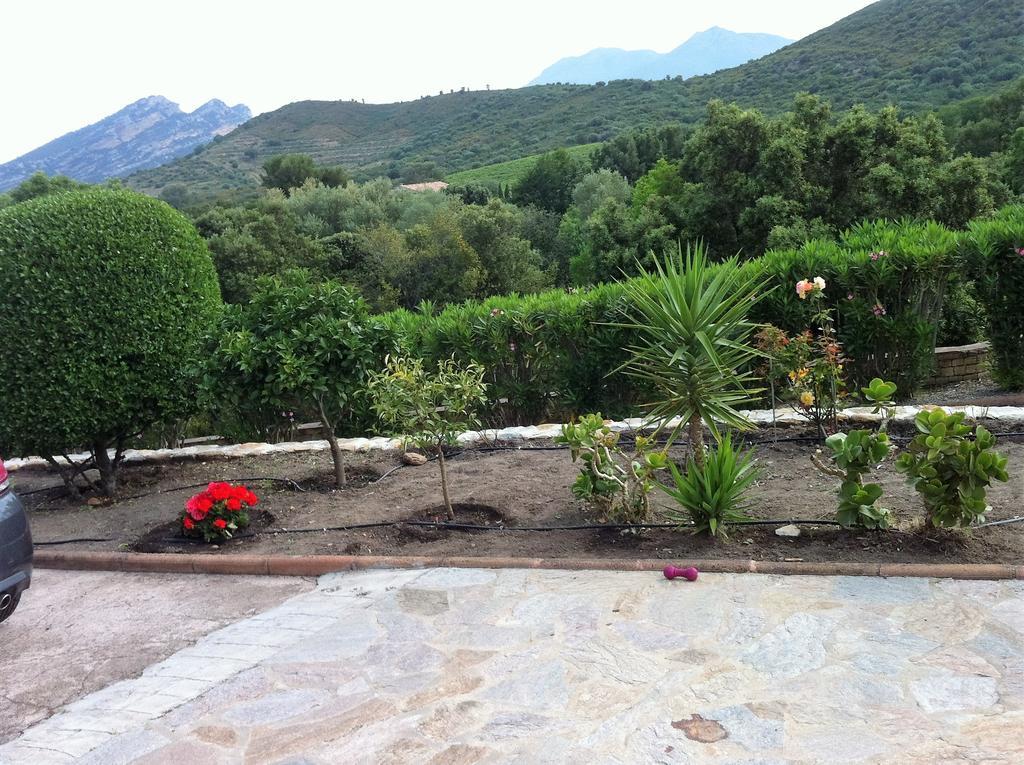 Villa Elofred Saint-Florent  Exteriér fotografie